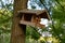 Wooden bird feeder in Zabie Doly