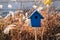 Wooden bird house with autumn reed