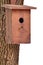 Wooden bird house(starling house)on tree trunk