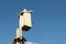 Wooden birdhouse against the blue sky