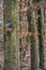 Wooden birdhouse on bare tree trunk in a forest conveys secure tenancy concept or illustration of shelter and ownership protection