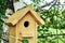 Wooden birdhouse on a birch tree in the forest in summer