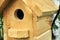 Wooden birdhouse on a birch tree in the forest in summer close up