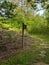 Wooden Birdhouse at the Edge of the Woods