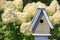 Wooden birdhouse in front of a flowering Hydrangea plant