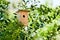 Wooden Birdhouse Hanging In The Tree