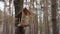 Wooden birdhouse hanging on tree in forest. Close-up of house for birds on branch of tree trunk.