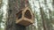 Wooden birdhouse hanging on tree in forest. Close-up of house for birds on branch of tree trunk.