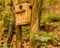 Wooden birdhouse lodged between two trees