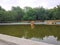 Wooden birdhouse in the middle of the pond in the park. Summer landscape in the park