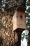 Wooden birdhouse on the tree