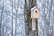 Wooden birdhouse on a tree waiting for the arrival of birds in s