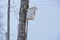 Wooden birdhouse on a tree waiting for the arrival of birds in s