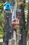 Wooden birdhouses on the tree, close up