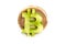 Wooden bitcoin sign, front view, virtual cryptocurrency