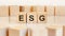 wooden blocks with the word ESG, concept