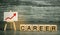 Wooden blocks with the words Career and the up arrow. personal and career growth, self-development, success, progress and