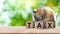 Wooden blocks with the words Tax and US dollar money bag and coins, Taxes payment concept. Tax evasion. Taxation. Business and