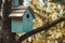 Wooden blue birdhouse on a apple tree in the farm park zone.