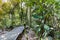 Wooden boadwalk and directional post to Canopy Walk and Teresek Hill at Taman Negara National Park, Pahang