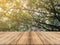 Wooden board empty table in front of blurred background. Perspective brown wood table over blur trees in forest background.