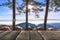 Wooden board empty table in front of tree background. Perspective brown wood over tent and pine tree