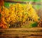 Wooden board in front of autumnal vineyard