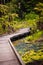 Wooden board walk across the old thermal pond in Redwoods Whakarewarewa Forest, a forest of naturalised coastal redwood on the