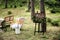 Wooden board in a wedding decor