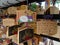 Wooden boards prayers Ema`s hanging in the Toshogu Shrine in Ueno Park, Tokyo