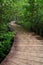 Wooden boardwalk