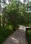 WOoden Boardwalk in the Bayou of Southern Louisiana