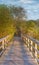 Wooden Boardwalk Coastal Vegetation NC