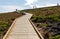 The wooden boardwalk down to to Admirals Arch on Kangaroo Island South Australia on May 8th 2021