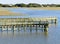 A wooden boardwalk going through marsh wetlands