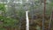 Wooden boardwalk hiking trail through bog land