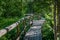 Wooden boardwalk at hiking trail crossing a mysterious Pokaini Forest in Latvia.