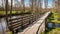 wooden boardwalk leading through forest. a path through the trees.