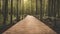 wooden boardwalk leading through forest. a path through the trees.