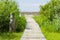 Wooden boardwalk leading to a sea coast