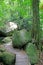 Wooden Boardwalk with mossy boulders in New Zealand forest.