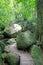 Wooden Boardwalk with mossy boulders in New Zealand forest.