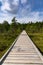 Wooden boardwalk nature trail leading through a peat bog landscape with sparse trees