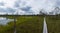 Wooden boardwalk nature trail leading through a peat bog landscape with sparse trees