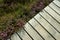 Wooden boardwalk, next to it blooms purple heather. Top view. Copy space