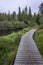 Wooden Boardwalk Next to a River - Algonquin Provincial Park