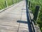 Wooden boardwalk over water with green plants and a metal chain and shadow