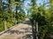 Wooden boardwalk over water with green plants and a metal chain and shadow