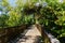 Wooden boardwalk, part of the Los Gatos Creek trail in the town of Los Gatos, south San Francisco bay area