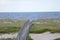 The wooden boardwalk provides a safe path to the water as it protects the dune from wear